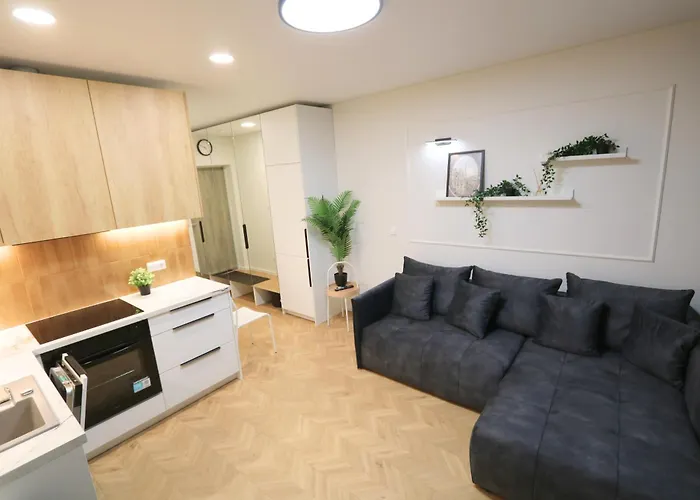 Lazdyneliai Fast Wi-fi Cozy For Two 公寓 维尔纽斯